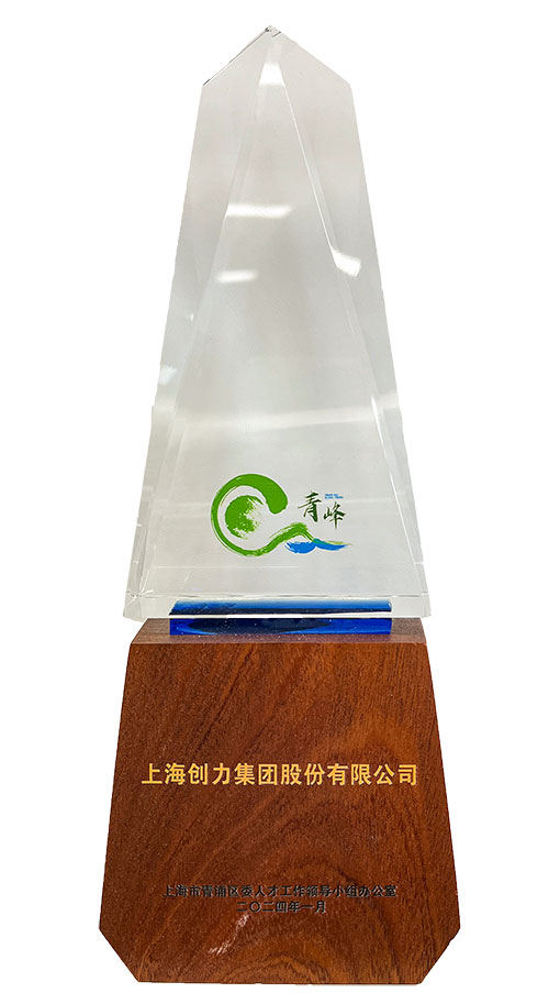 喜报！上海开云手机入口荣获2023年度青浦区百强优秀企业等三项大奖(图3)